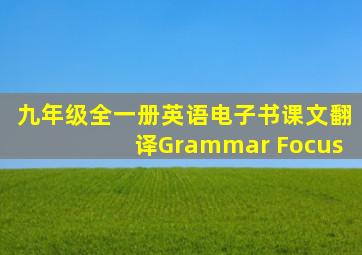 九年级全一册英语电子书课文翻译Grammar Focus